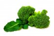 Recepty - Zelenina v podzimní kuchyni: brokolicový krém
