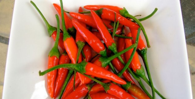 Paprika a chilli papričky