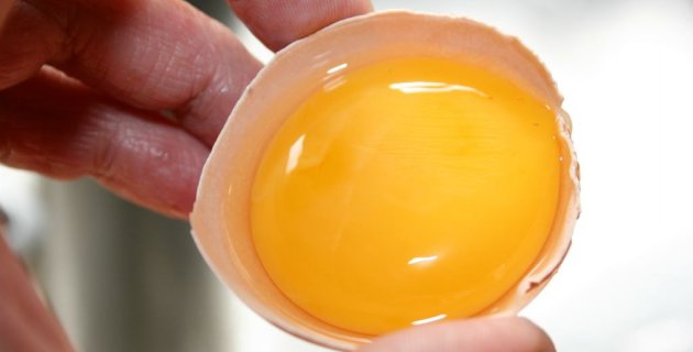 Vejce, neboli vajíčka. Co je dobré vědět?